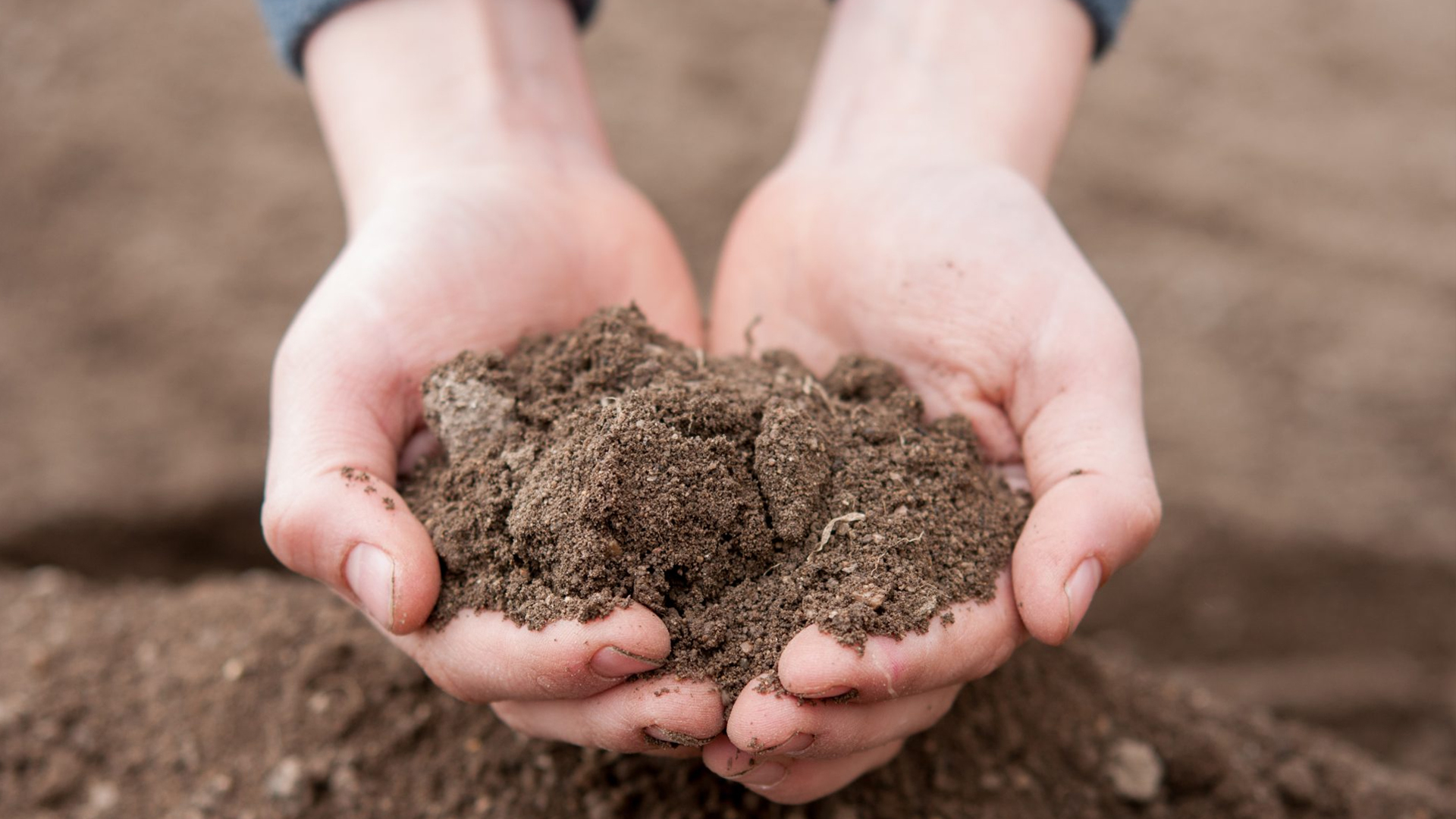 Building Materials Testing Services in Chennai